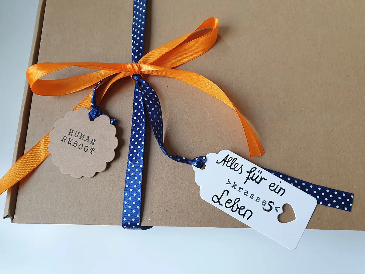 Box Human Reboot Krasses Leben