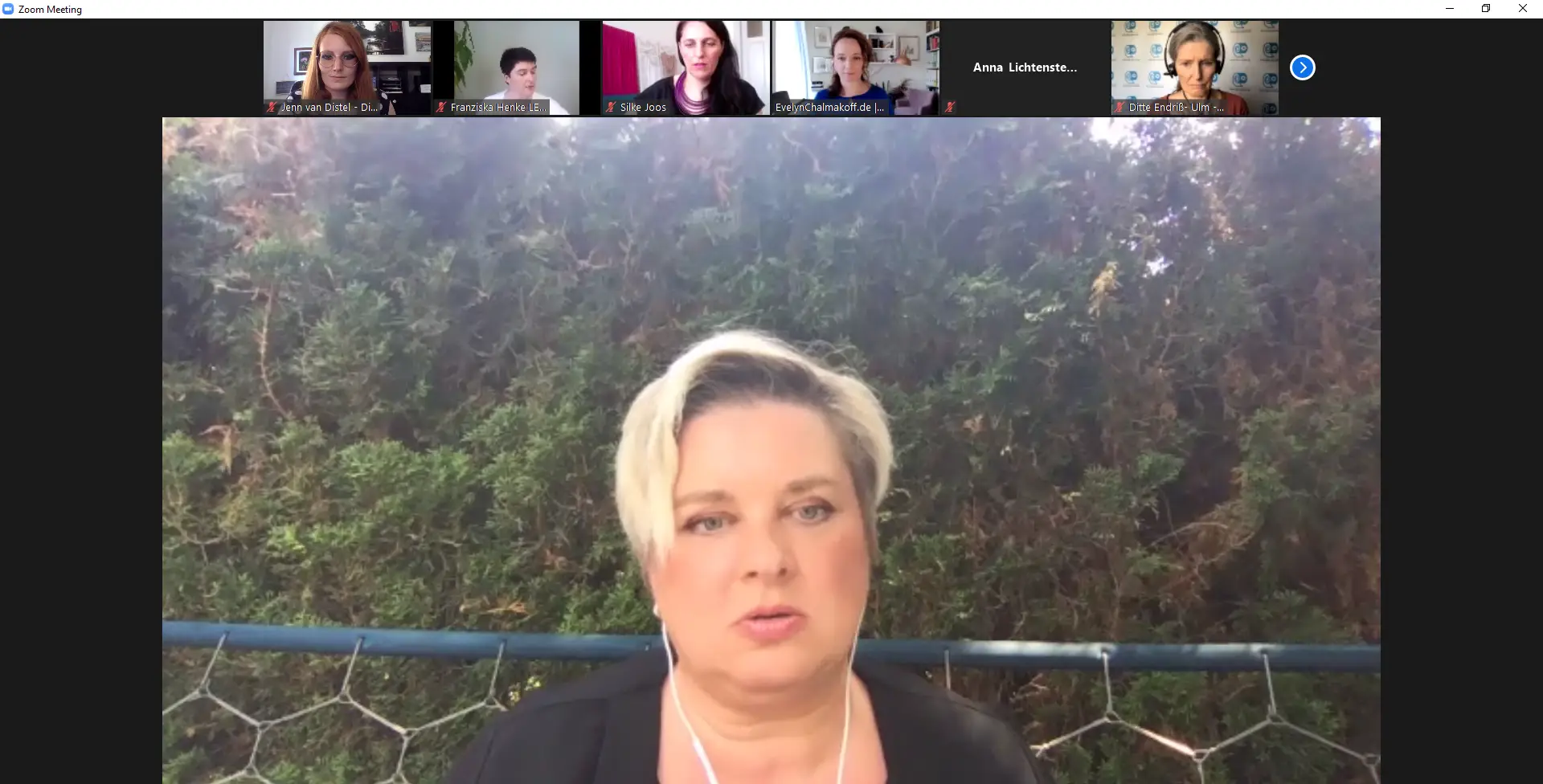 Rückblick auf unser 4. Meet&Work am 16.06.2021 7 Zoom-Meeting-16.06.2021-11_25_47-1.png