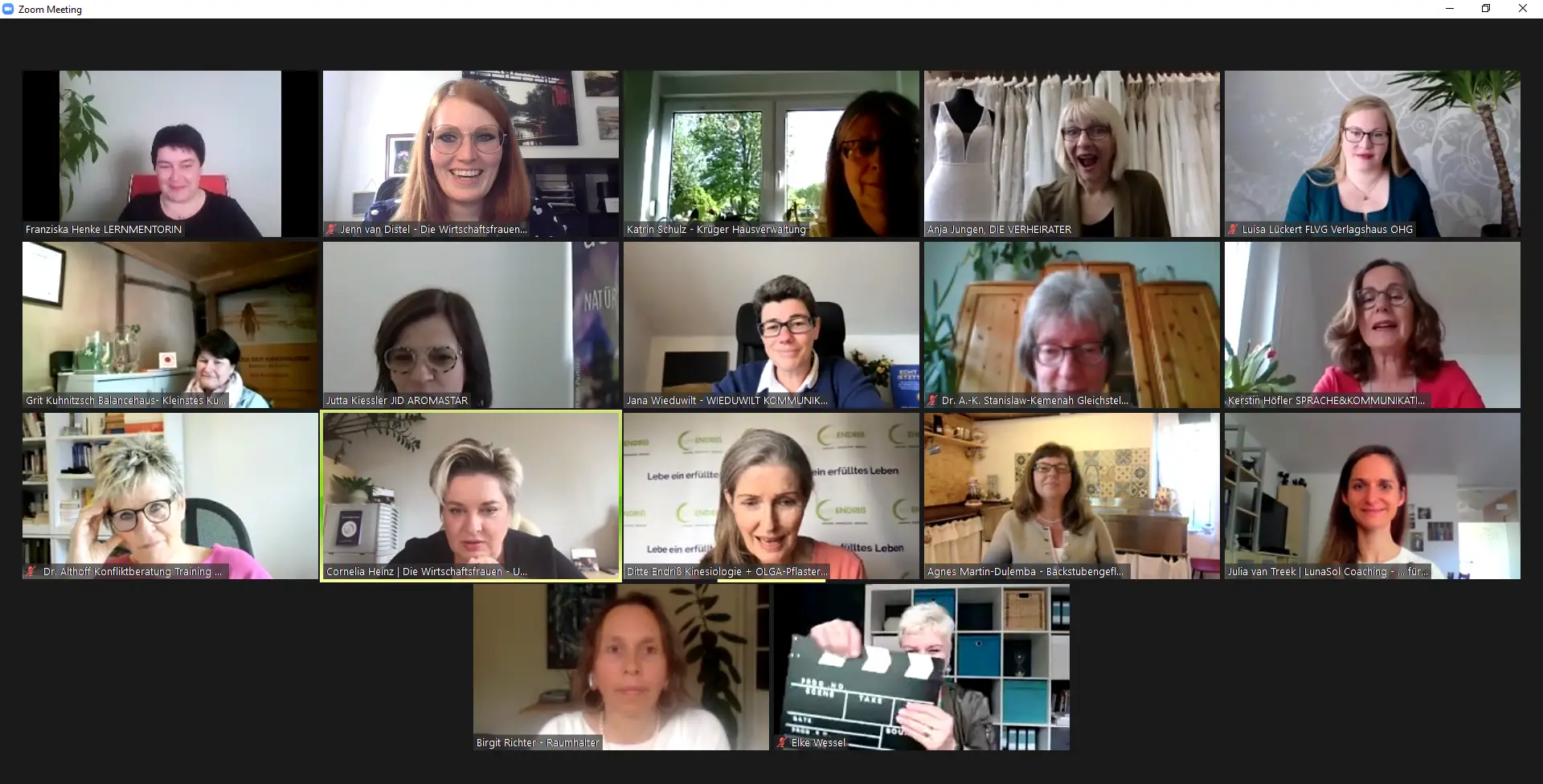 Zoom-Meeting-20.05.2021-17_02_35.png